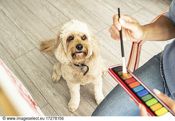 Close-up of mature woman sitting with dog while painting on canvas at home