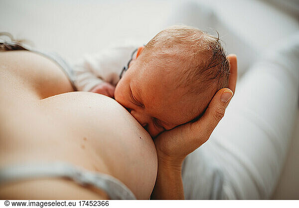 Close up of mom's breast with newborn baby breastfeeding