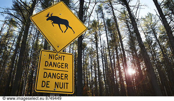 Close-up of moose danger sign  Trans Canada Highway  near Wawa  Ontario  Canada