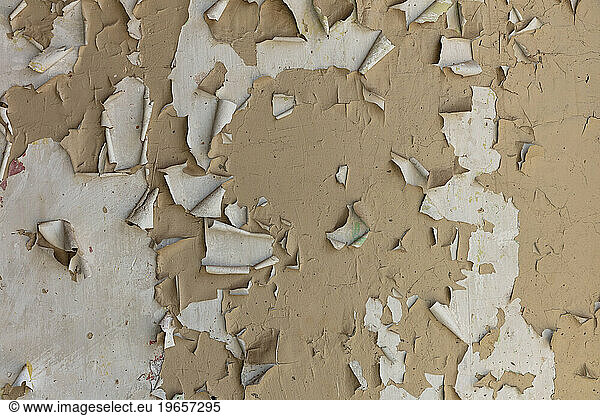Close up of peeling paint on a building wall.