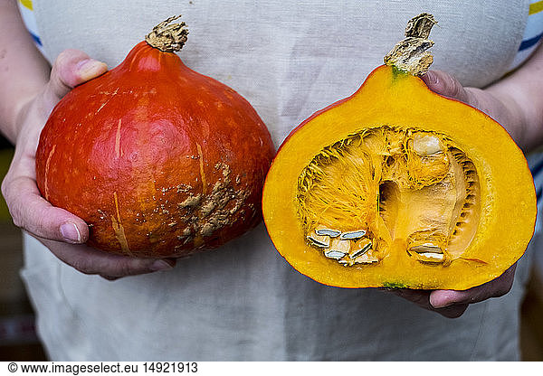 Close up of person holding pumpkin with orange flesh cut in half.