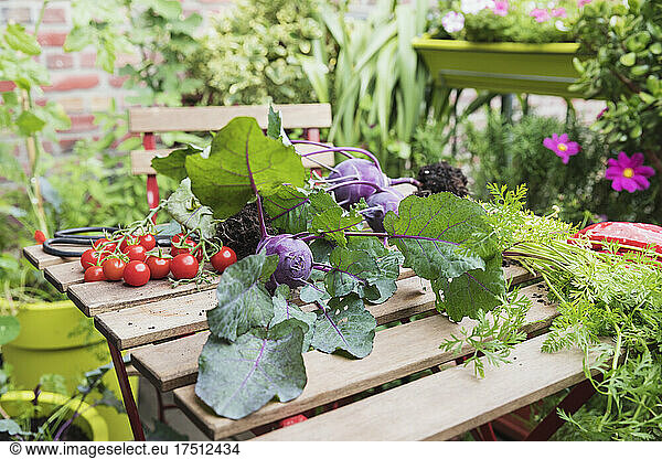 Close-up of plants and vegetables over table in urban garden