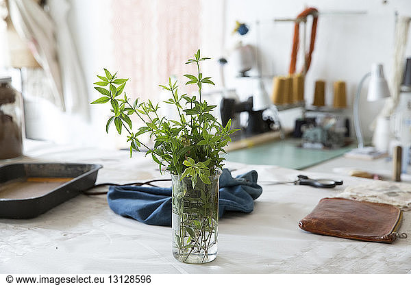 Close-up of potted plant on table at workshop