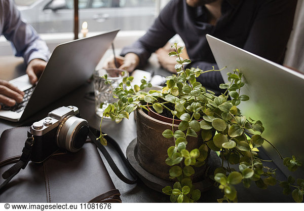 Close-up of potted plants and camera with businessmen working in creative office