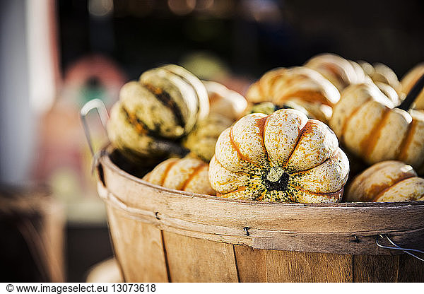 Close-up of pumpkins in wooden bucket