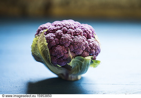 Close-up of purple cauliflower
