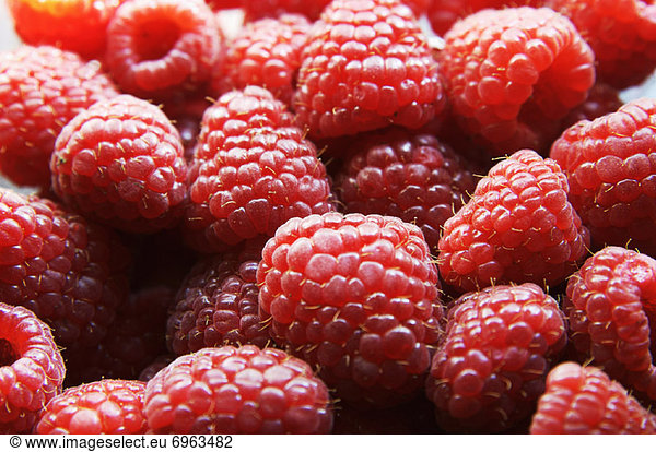 Close-Up of Raspberries