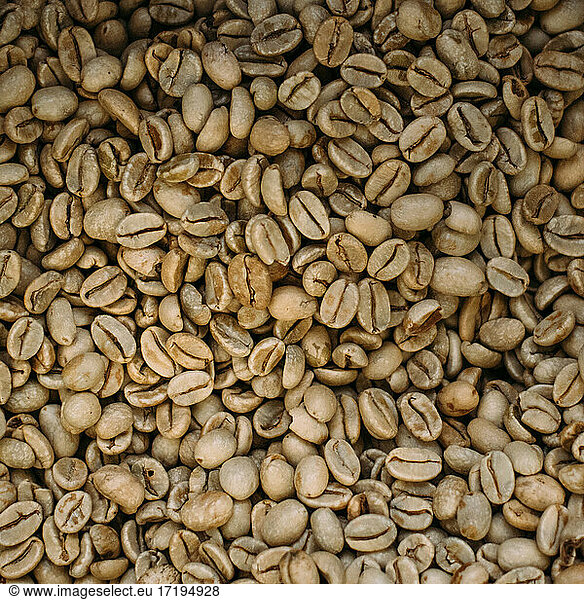 Close-up of raw coffee beans