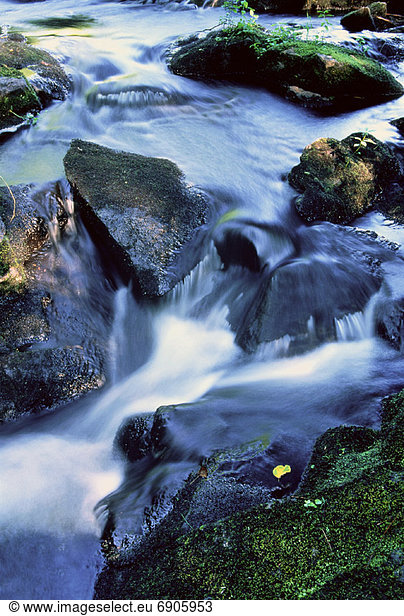 Close-Up of Rocks and Water Klaxton Creek Haliburton  Ontario  Canada