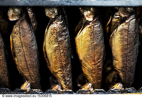 Close up of rows of freshly smoked whole trout in a smoker.