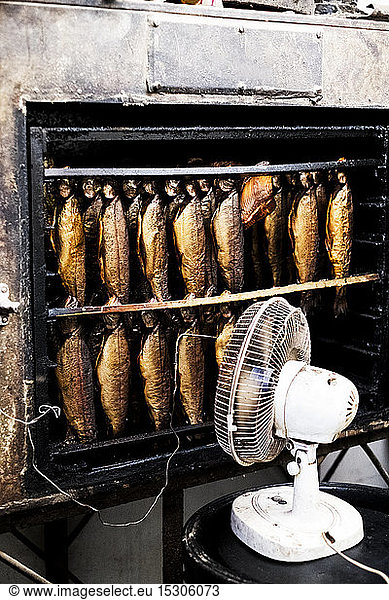 Close up of rows of freshly smoked whole trout in a smoker  white fan standing in front.