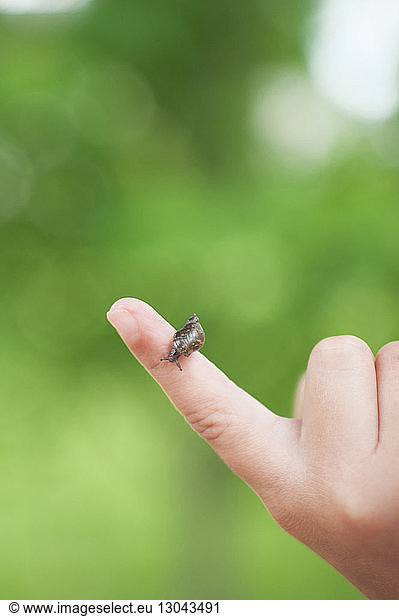 Close-up of snail on boy's finger