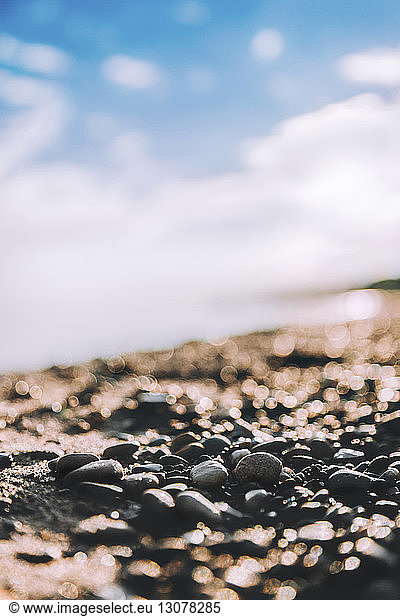 Close-up of stones at beach