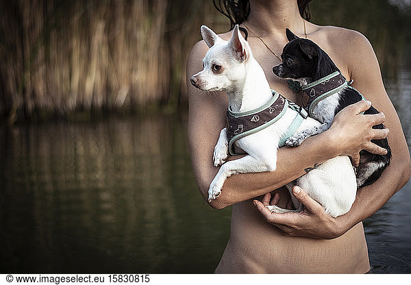 close up of strong woman holding two tiny dogs in natural summer lake