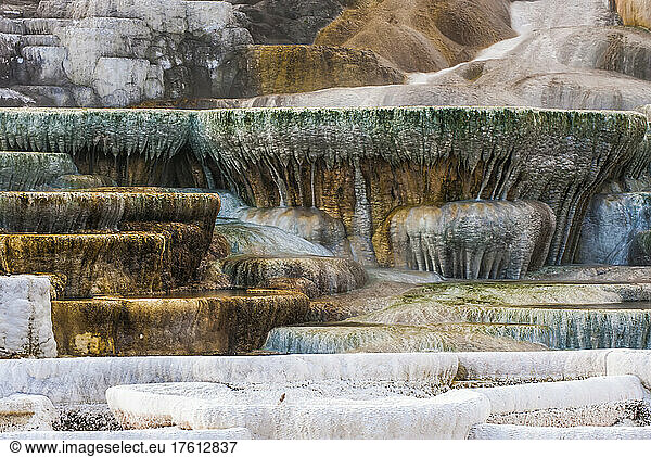 Close-up of the runoff terraces at Palette Spring in the fall  Mammoth Hot Springs; Yellowstone Natural Park  Wyoming  United States of America