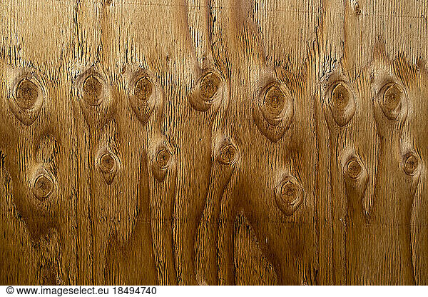 Close up of the wood grain and knots in plywood used for construction.