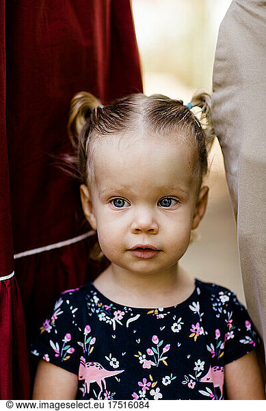 Close Up of Toddler Girl in Pigtails in California