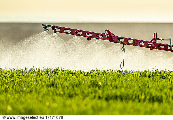 Close-up of tractor sprinkling fertilizer on crop in farm