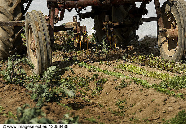 Close-up of tractor wheels on agriculture field