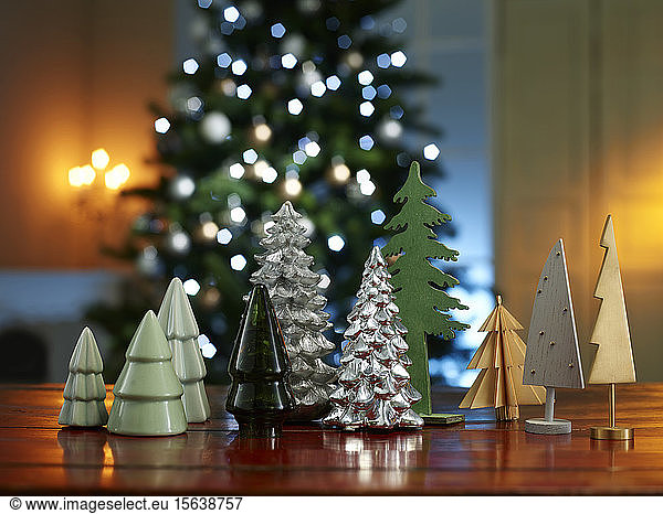 Close-up of various small Christmas trees on wooden table at home