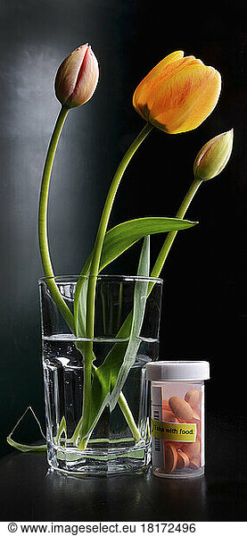 Close-up of water glass with tulips and bottle of pills  medication  studio shot on black background