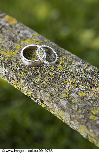 Close-up of Wedding Bands on Lichen Covered Piece of Wood