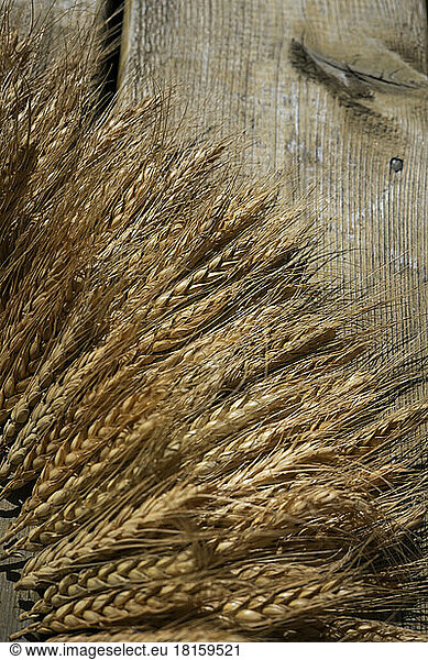 Close up of wheat door wreath