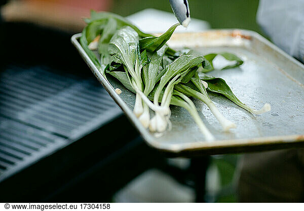 Close up of wild ramps on a tray being picked up by tongs