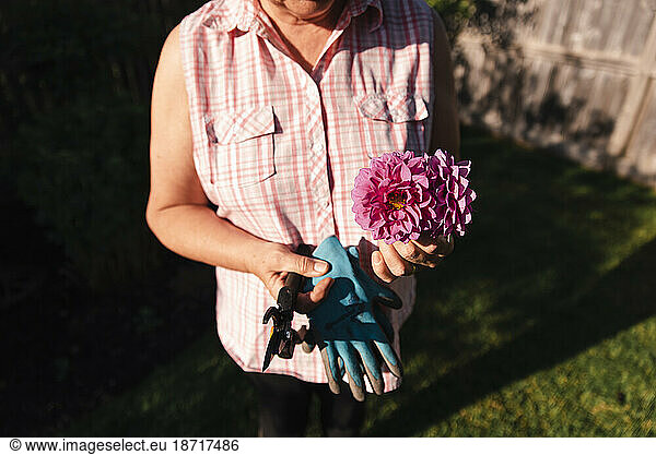 Close up of woman holding bunch of freshly cut flowers in a garden.