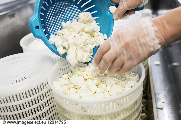 Close-up of woman preparing cottage cheese in commercial kitchen