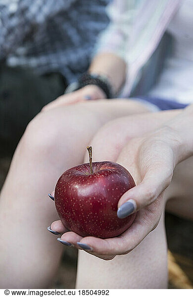 Close-up of woman's hand holding a red apple  Bavaria  Germany