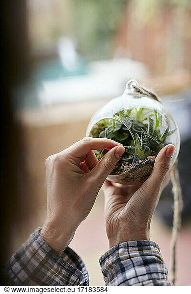 Close up of woman's hands caring for plants in glass terrarium