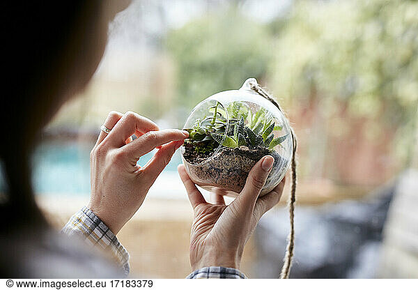 Close up of woman's hands caring for plants within glass terrarium