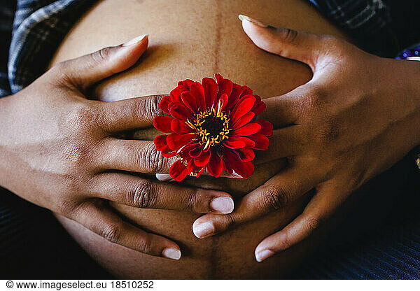 Close-up of women's hands holding flower over pregnant belly