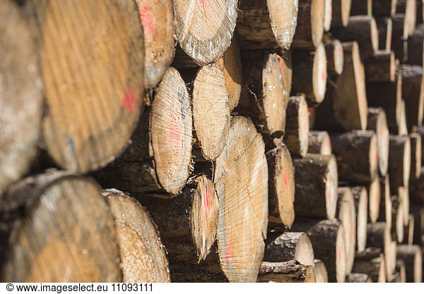 Close-up of wooden logs