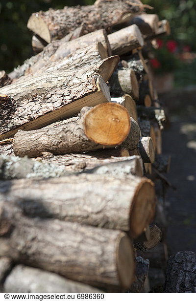 Close-up of Woodpile