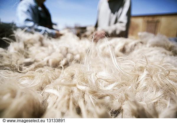 Close-up of wool with people in background