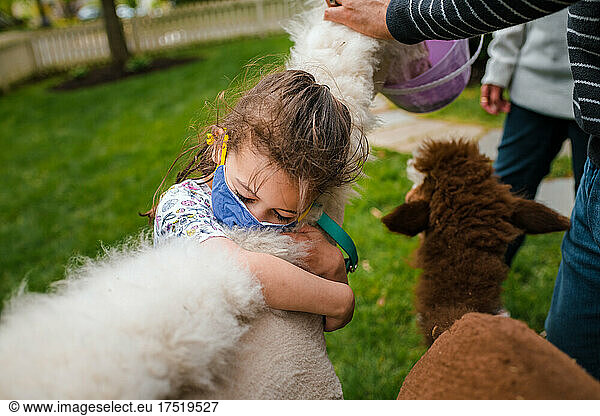 Close up of young girl hugging alpaca neck