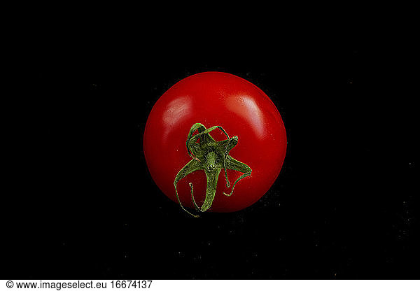closeup of a red tomato isolated on a black studio background