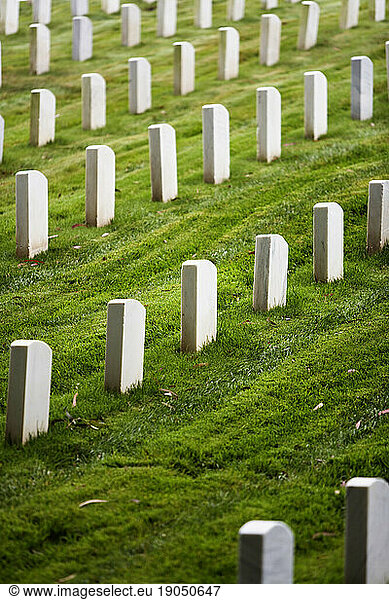 Closeup of white tombstones in the San Francisco National Cemetery.
