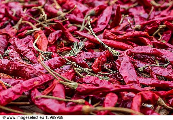 Closeup Pile of air-dried red chili peppers background. Hot and spicy dry red chillies.