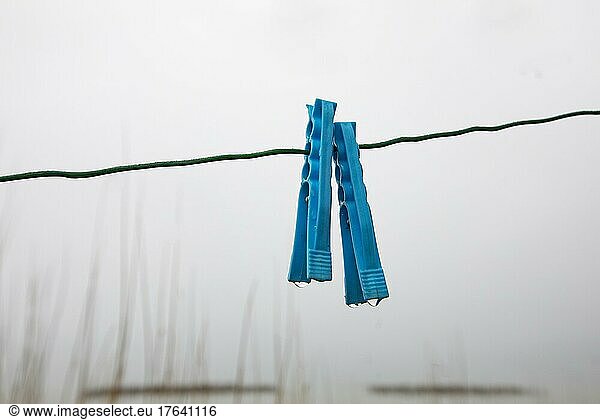 Clothes pegs on a rope with water drops  Mondsee  Salzkammergut  Upper Austria  Austria  Europe