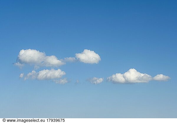 Cloud formation  blue sky with cumulus cloud (Cumulus)  Baden-Württemberg  Germany  Europe