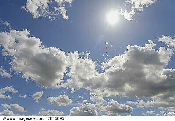 Cloud formation (cumulus)  blue sky with low clouds and sun  North Rhine-Westphalia  Germany  Europe