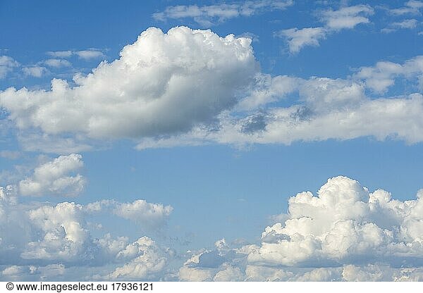 Cloud formation (cumulus)  blue sky with low clouds  Baden-Württemberg  Germany  Europe
