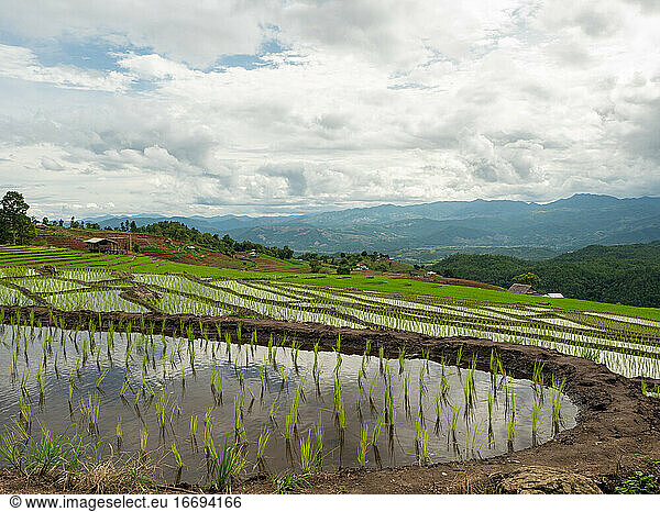 Cloud sky and rice terraces