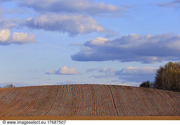 Clouds floating over plowed field