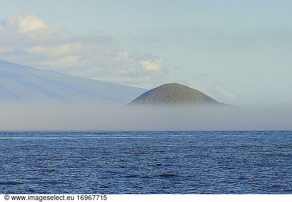 Clouds of fog at Ecuador Volcano  Isabela Island  Galapagos  Ecuador  South America