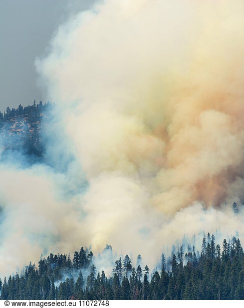 Clouds of smoke of a wildfire  Yosemite National Park  California  USA  North America