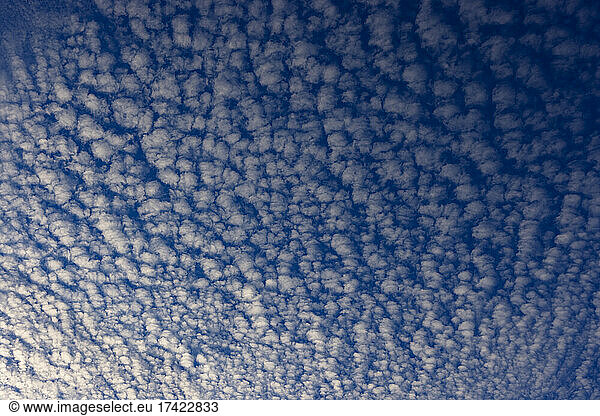 Cloudscape of altocumulus clouds at dusk